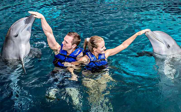 Couples Dreams - Dolphin Swim Riviera Maya 