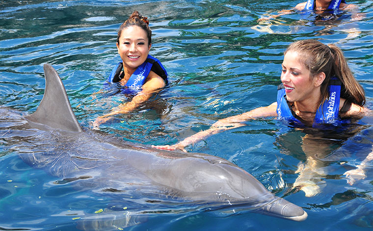 Couples Dreams - Dolphin Swim Riviera Maya 