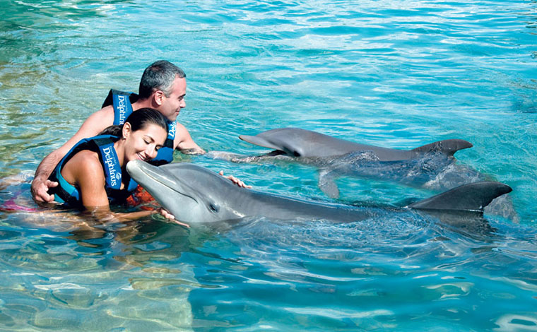 Couples Dreams - Dolphin Swim Riviera Maya