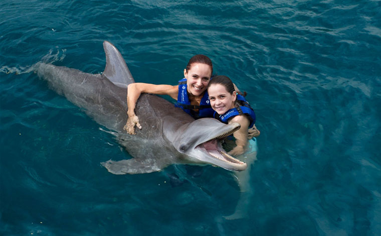 Couples Dreams - Dolphin Swim Cancun Aquarium 