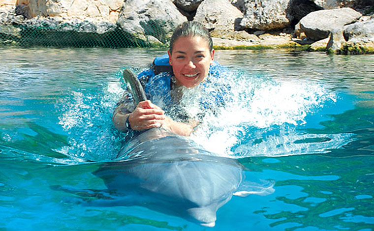 Dolphin Ride - Interactive Aquarium 