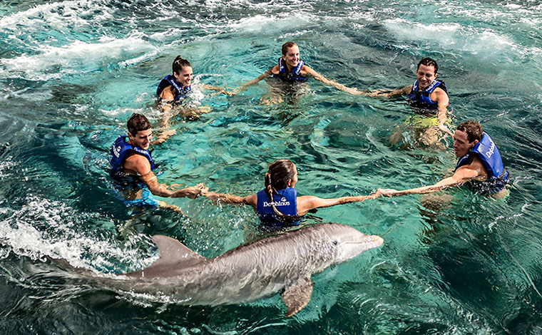 Swim with Dolphins - Riviera Maya