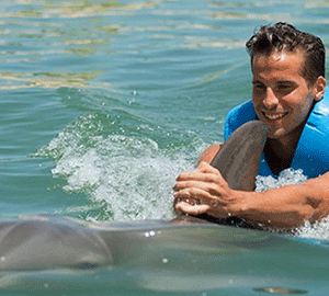 Swim with Dolphins - Punta Cancun