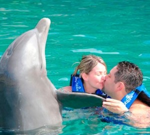 Couples Dreams - Dolphin Swim Riviera Maya