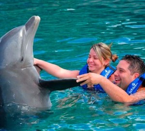 Couples Dreams - Dolphin Swim in Cancun Aquarium