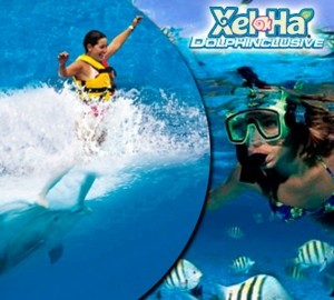 Xel-Ha Dolphinclusive Premium + Xel-Ha Tour