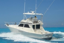 Fishing Charter 31 ft boat